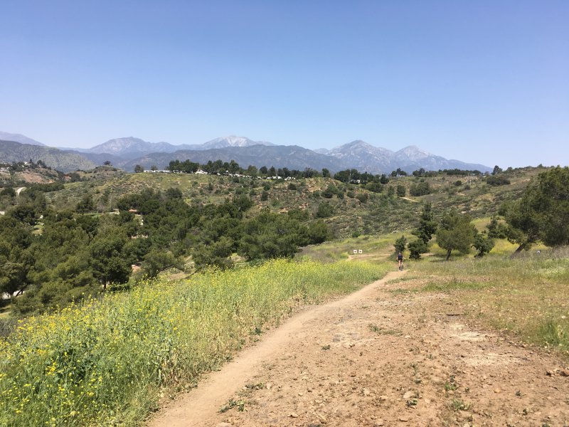 kristine contento angell bonelli park single track