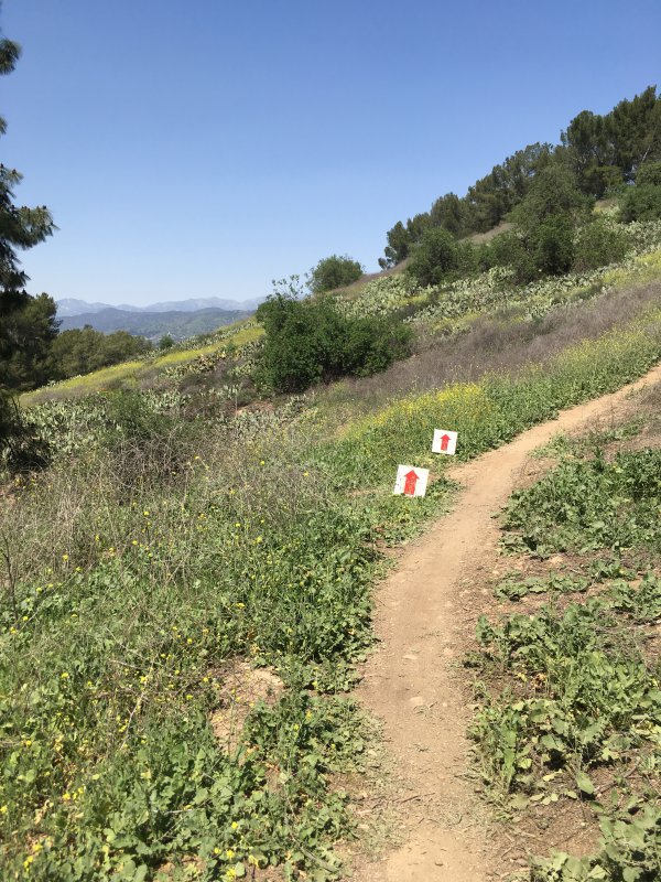 bonelli park climb kristine contento angell