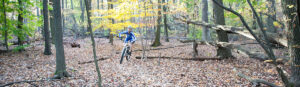 Kristine contento-angell mtb skills secret