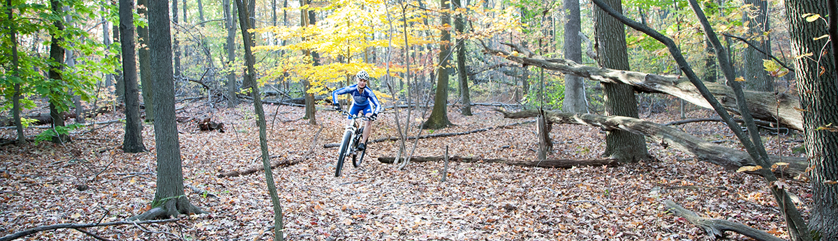 I LIKE TO RIDE IN CIRCLES